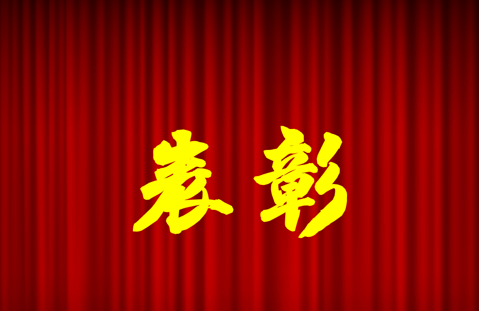 逐光前行、榮耀共鑒 | 公司2024年度表彰來啦！